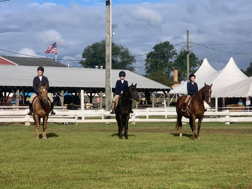 Outback Stables | Ledyard CT