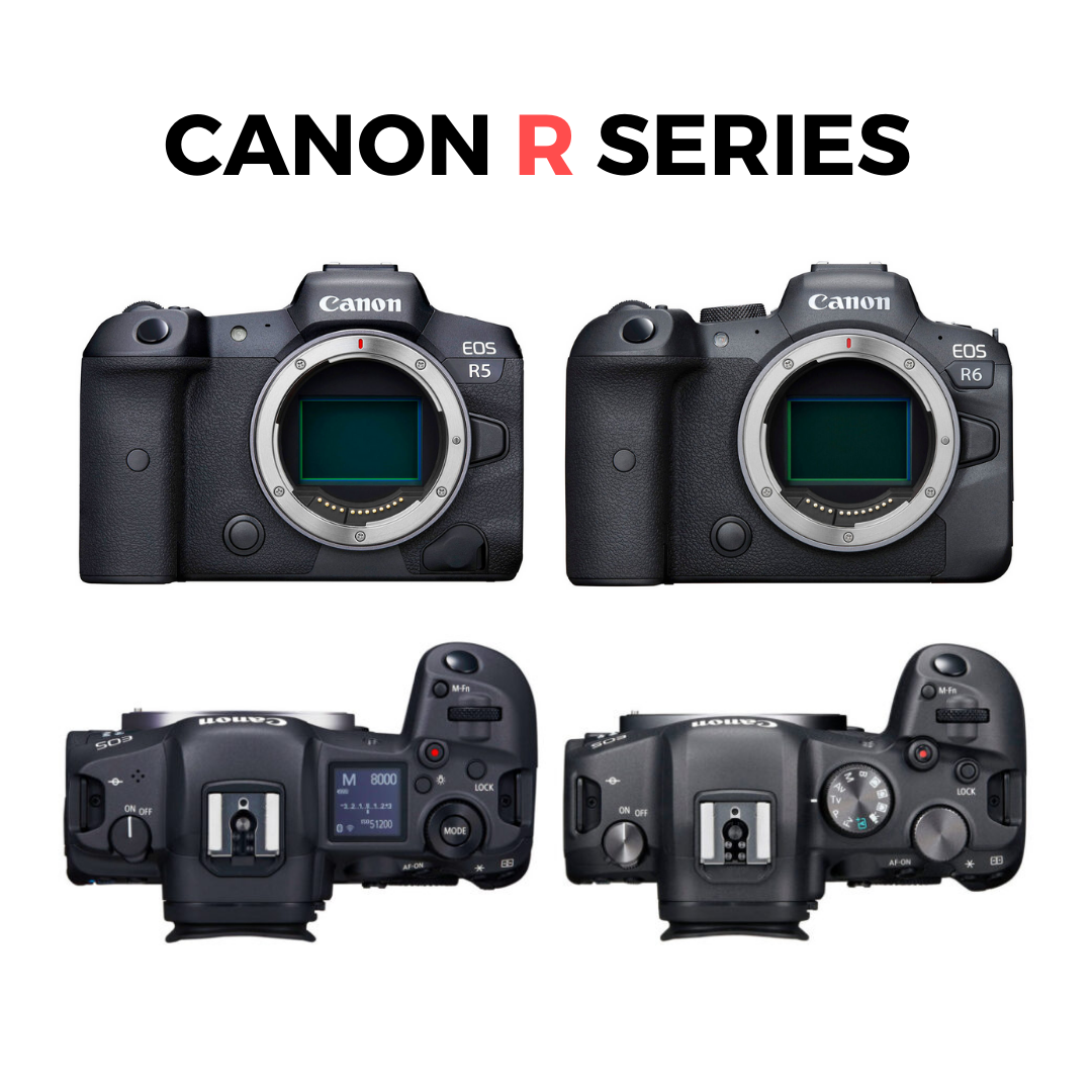 TAP - 📸|📷 Exploring the true power of the Canon R Series...