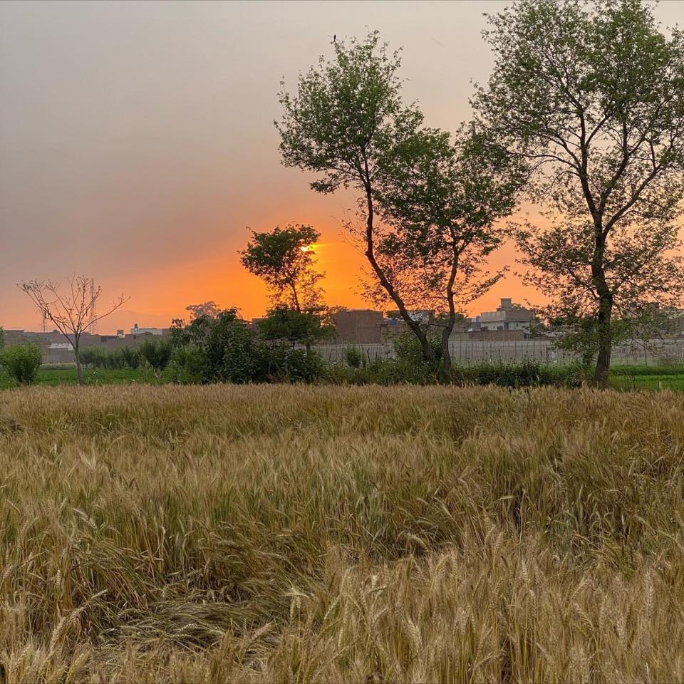 اضاخیل با لا مازیگر