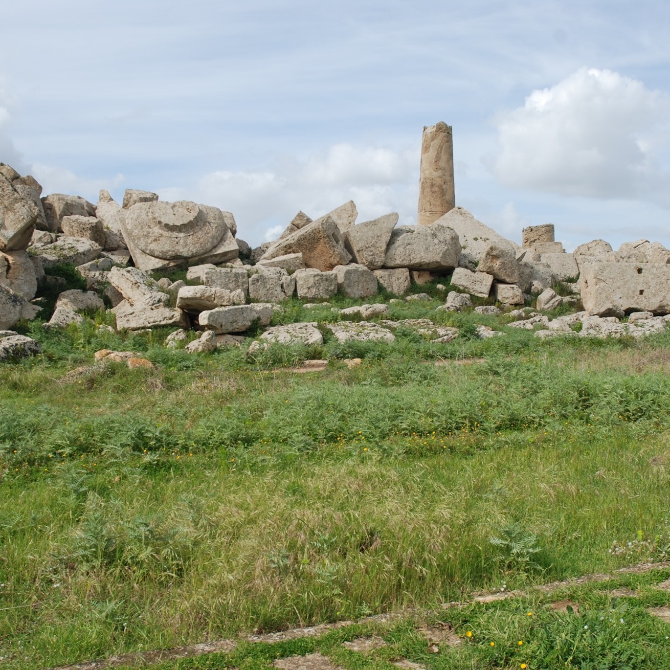 Missione Archeologica Uniurb a Selinunte