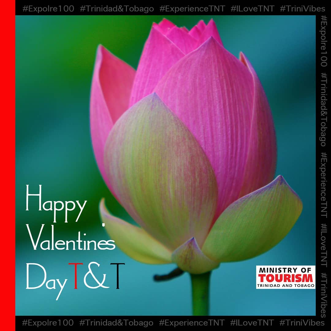 Ministry of Culture and Community Development - The lotus flower is an ...