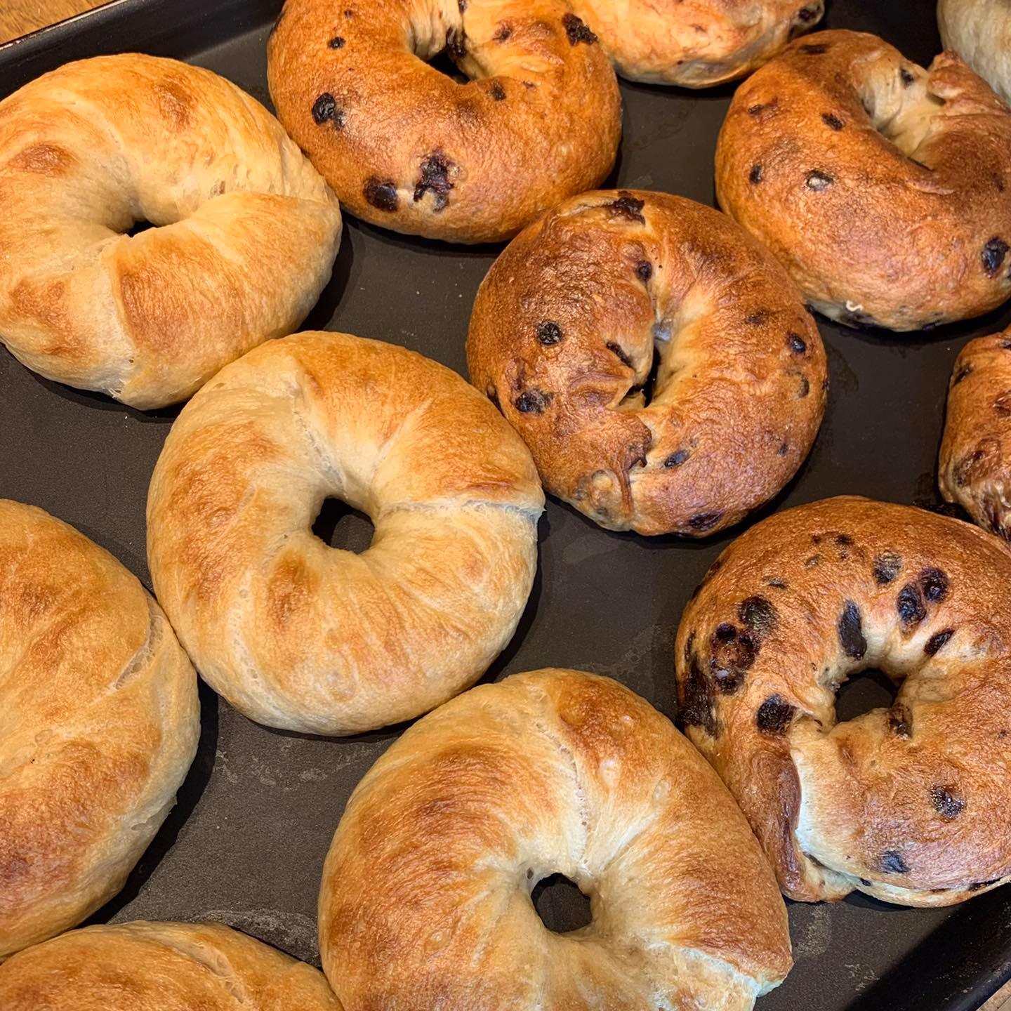 Yummy - こんにちは🌞 yummy bakeryです。 ベーグルはじめました🥯 ヤミーベーカリーオリジナルレシピで作った 国産小麦100 ...