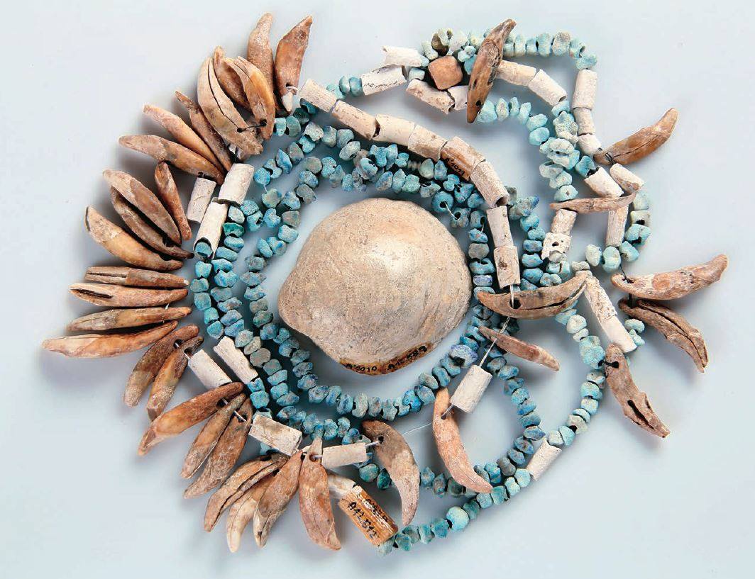 archeoserbia-beautiful-prehistoric-jewelry-necklaces-made-of-animal