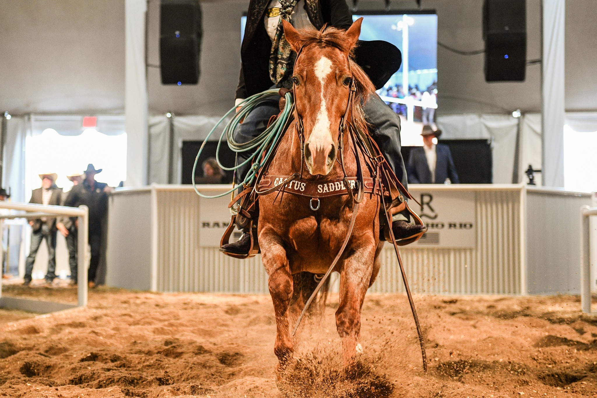 Rancho Rio - Congratulations to Wilson Cattle Co., Brooke... | Facebook