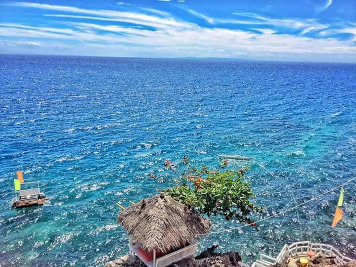 Turtle Point Beach Resort | Cebu City