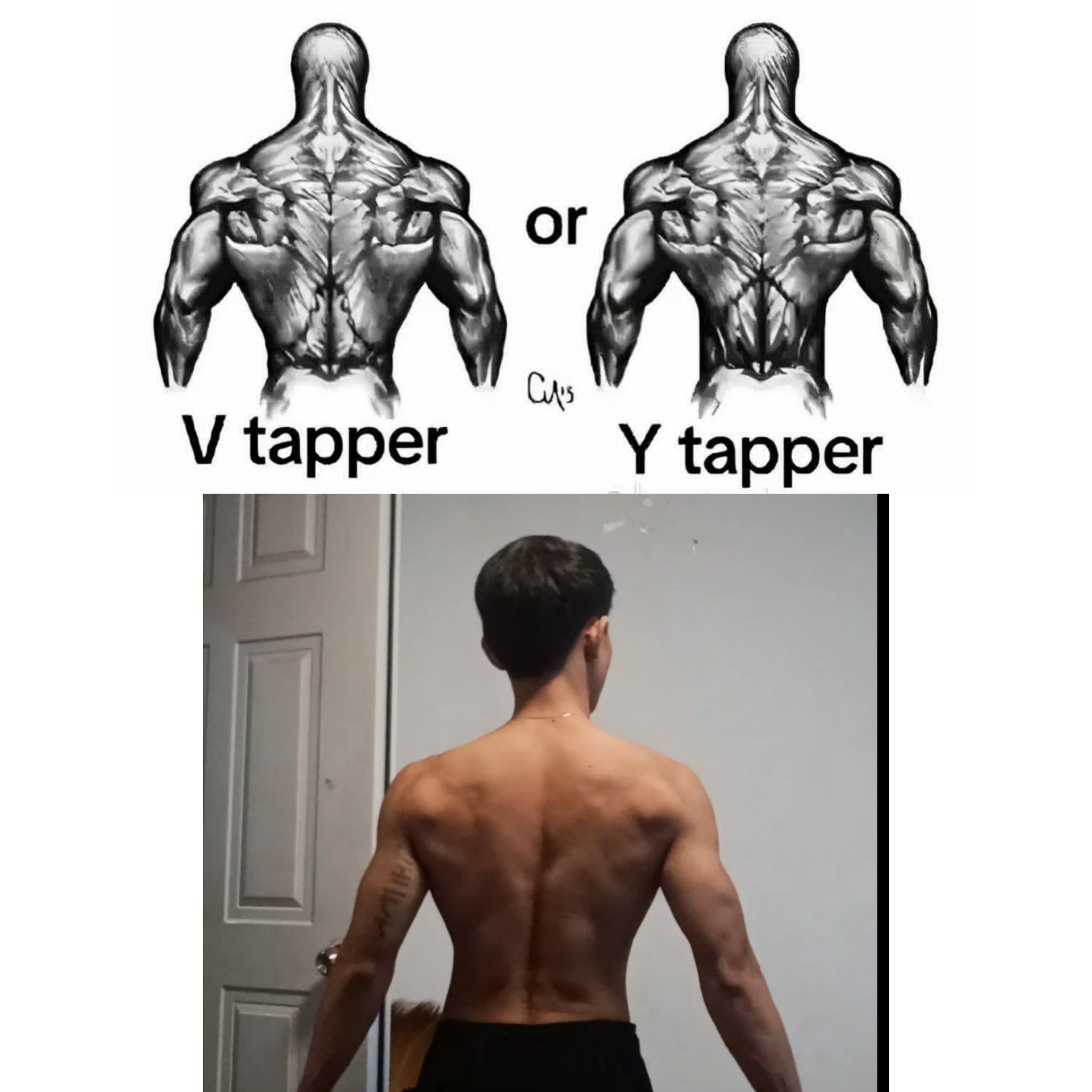 Philippine Fitness Gym Community | What kind of Taper are you | Facebook