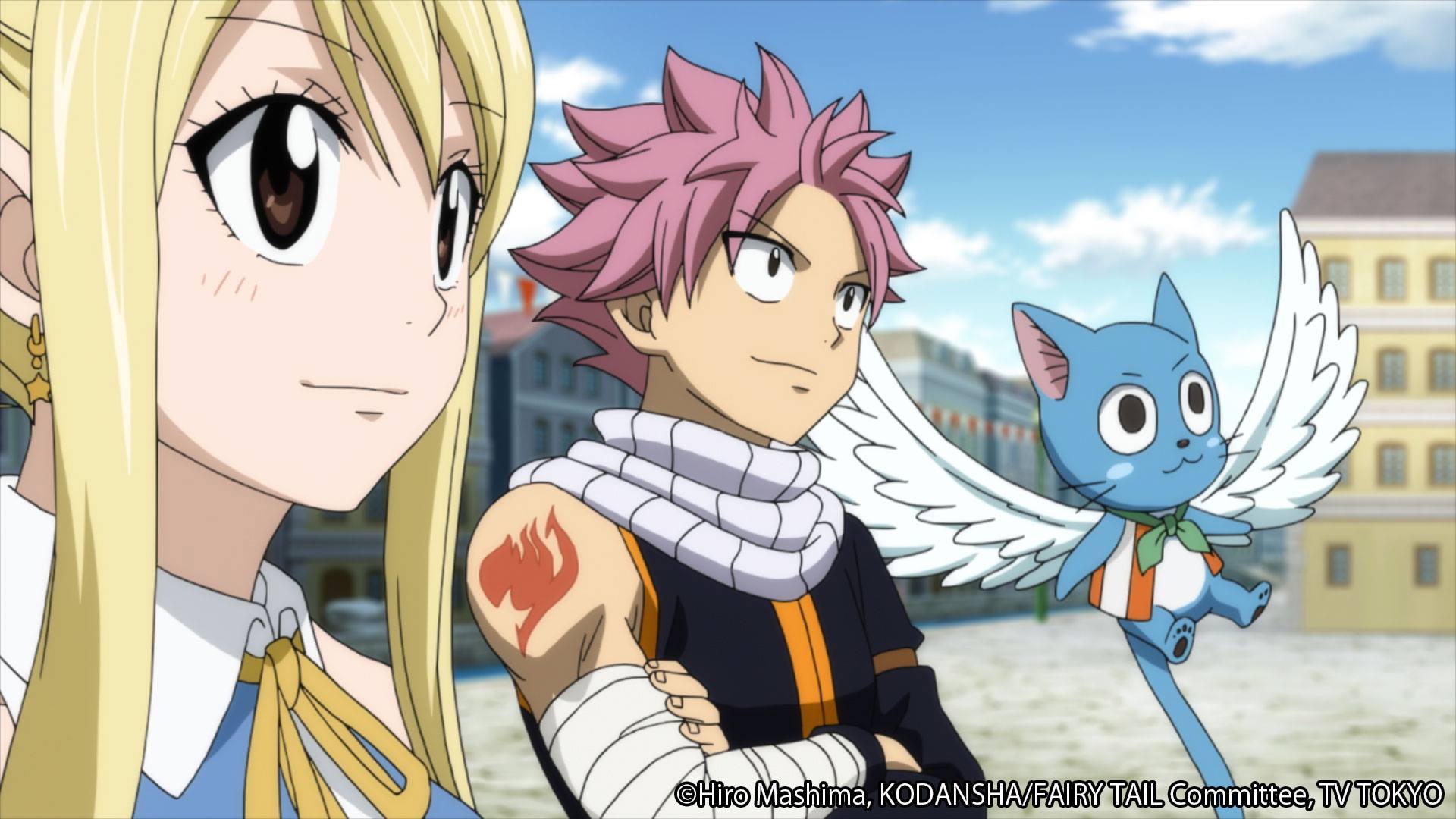Combien De Saison Fairy Tail