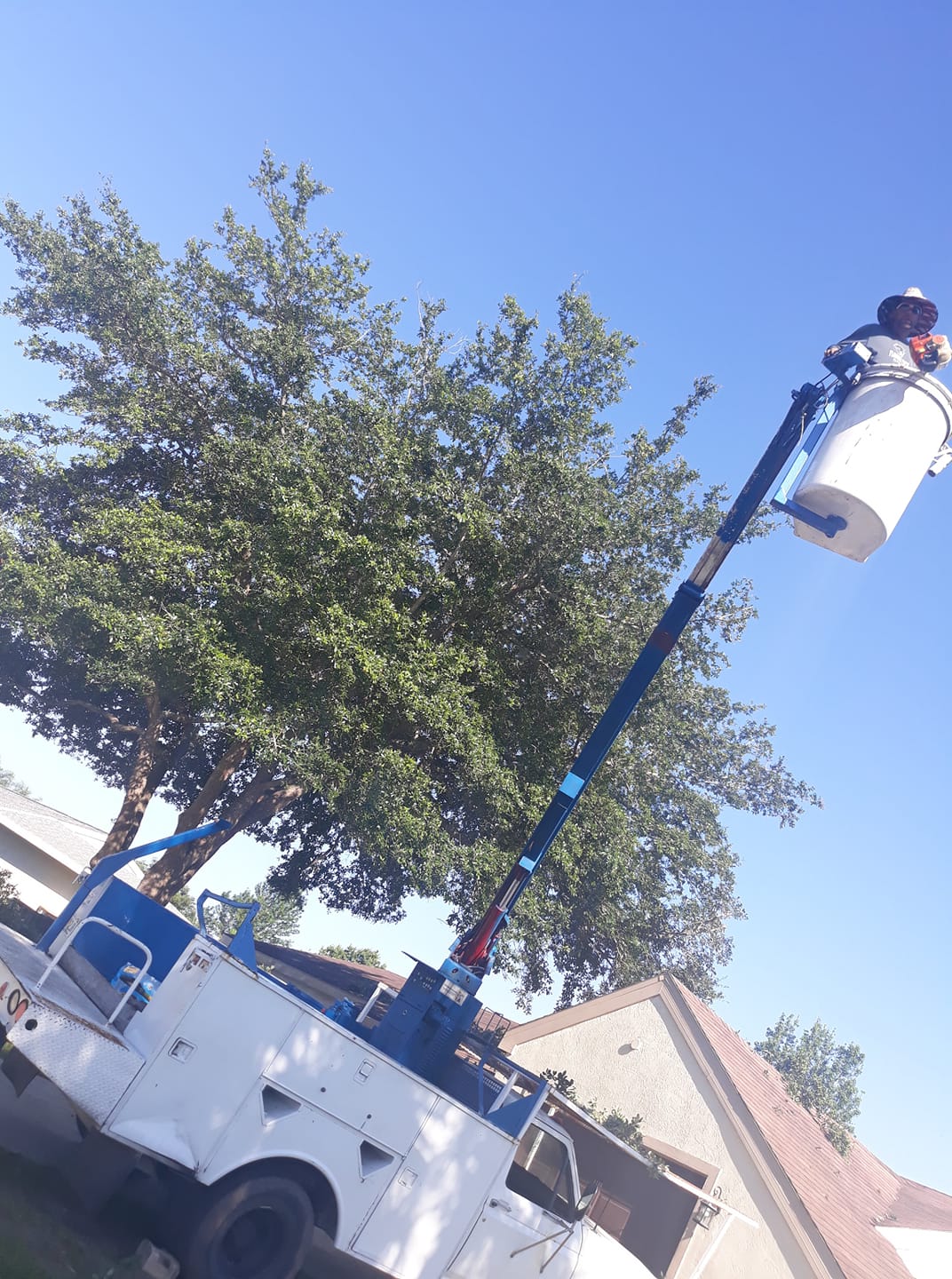 A Fast Response Tree Service, Inc. | Palm Bay FL