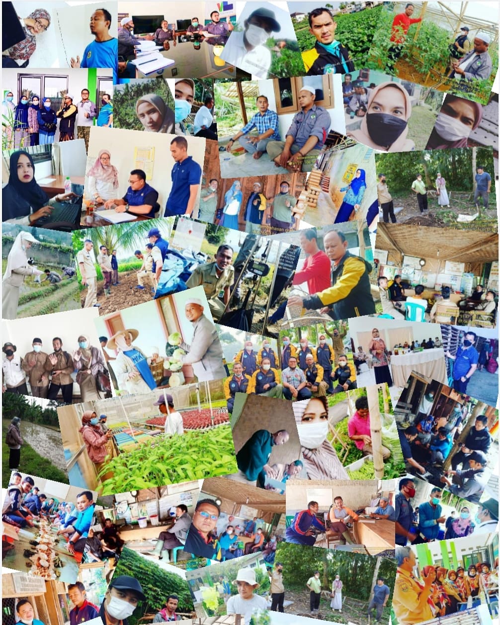 Penyuluh Sobat Petani - BPP Ciawi Activities #distanhorbunkabbogor # ...