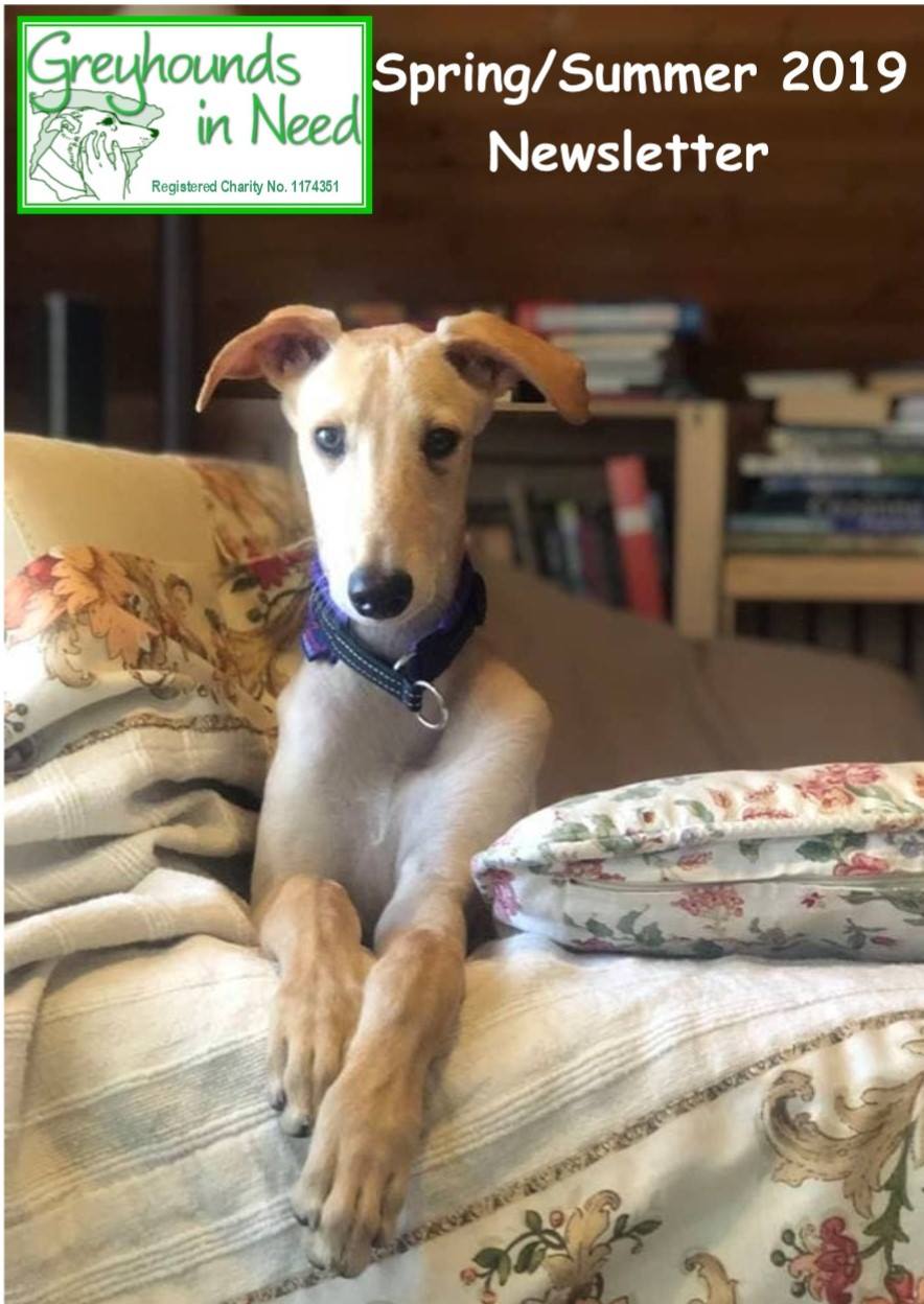 Our Newsletter Spring/Summer 2019 is... - Greyhounds in Need