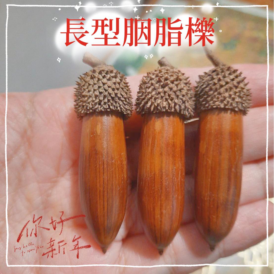 種子小舖 - 新品上市 長型胭脂櫟🙌 跟之前進過的胭脂櫟長的不一樣哦～ - 歡迎私訊小舖詢問🥰