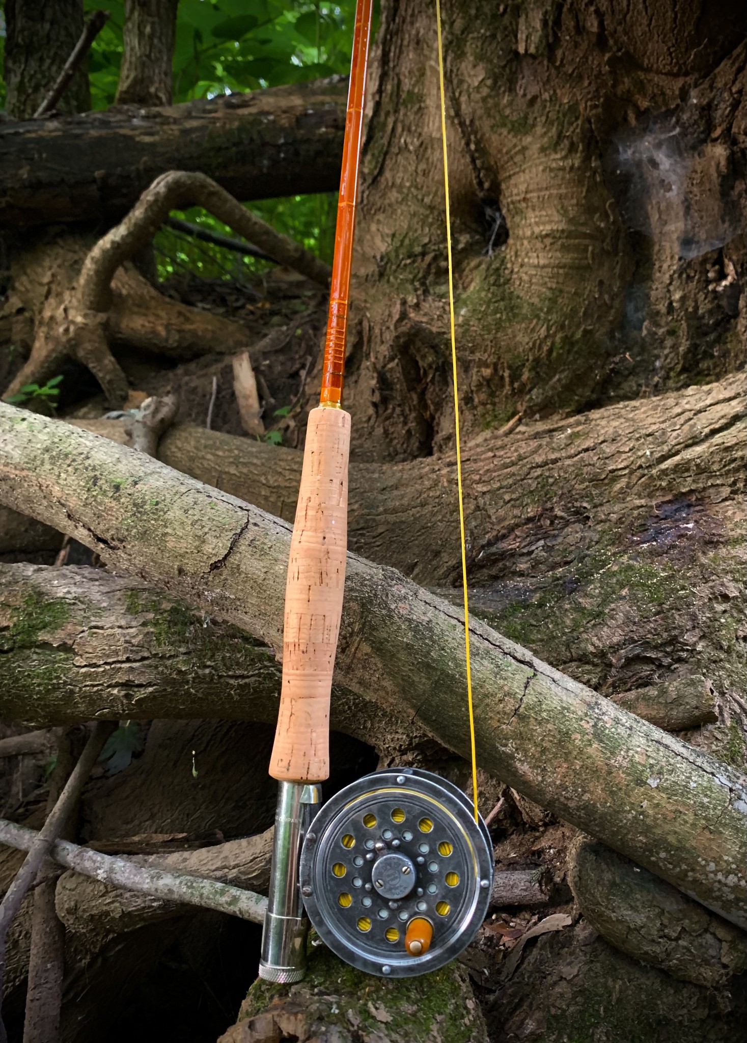 best reel matcg for the eagle featherlight fly rod Fenwick XP and Fishing Outfit : Sports & Outdoors up to bring a legend into the modern era of fishing Eagle Claw Featherlight Fly Fishing