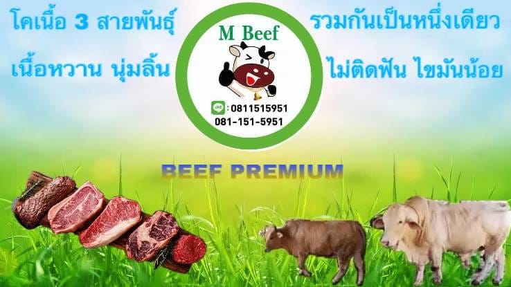 M Beef เนื้อโคขุน | Phetchaburi