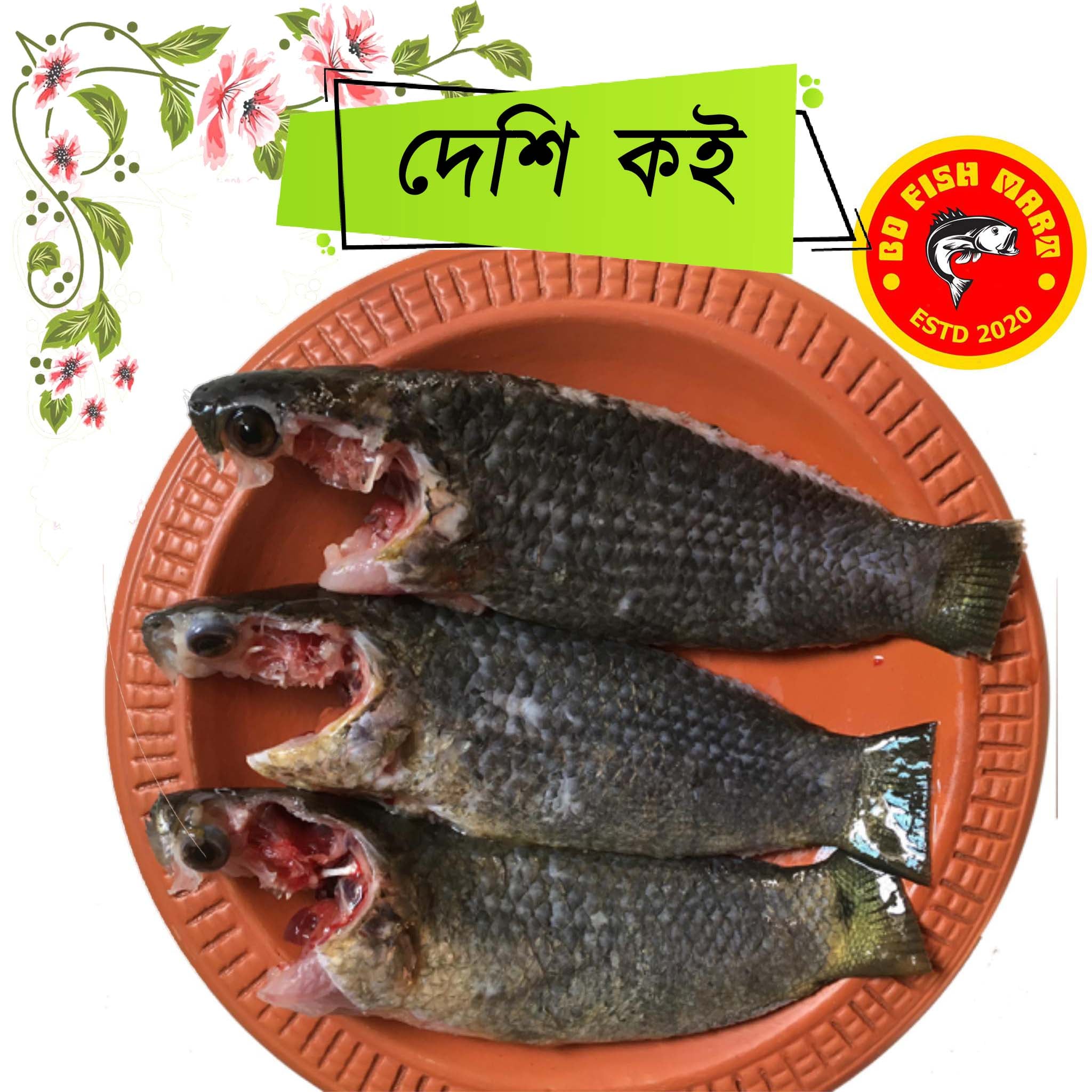 BD Fish Mart | Dhaka