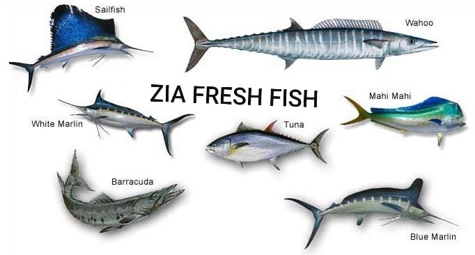 ZIA Fresh Fish Colombo | Wattala