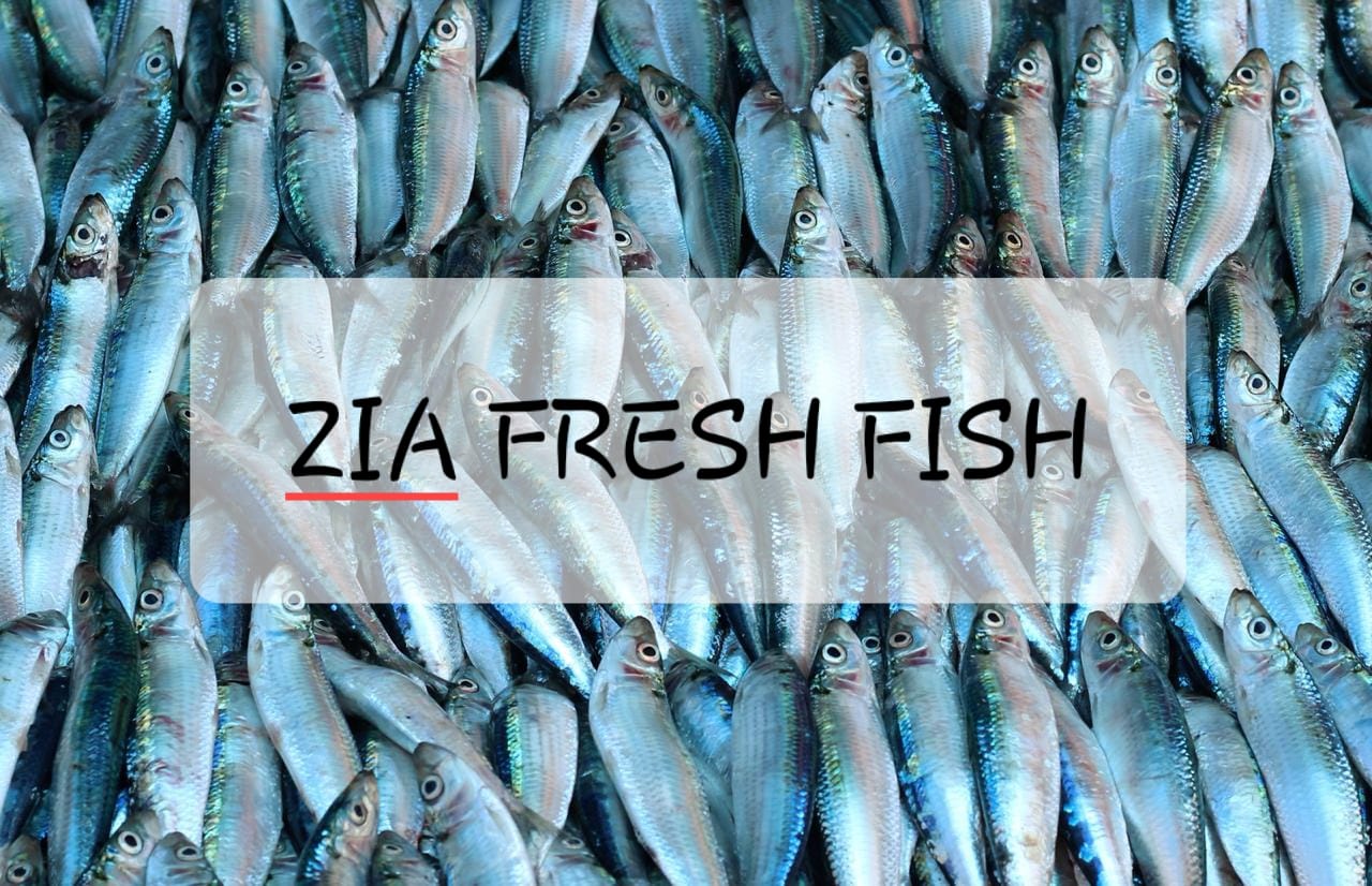 ZIA Fresh Fish Colombo | Wattala