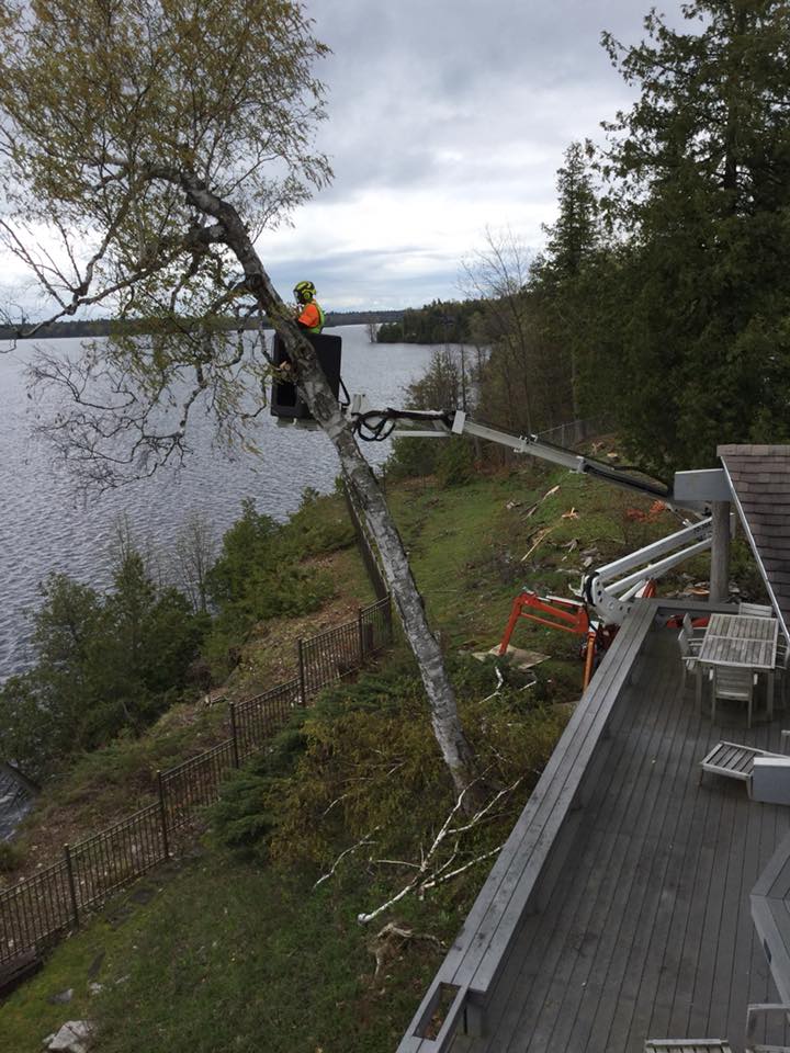 Arbor-Ops Tree Service | Keeseville NY