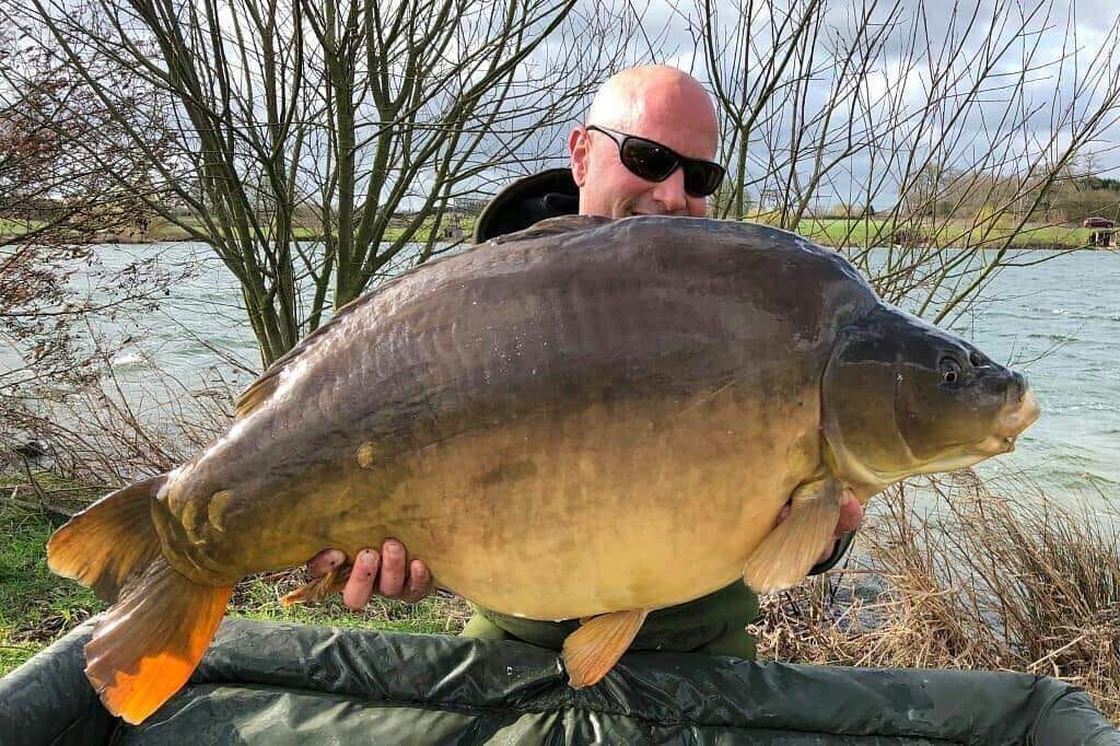Here is a cracking new simmo fifty... - Simmos super stockies