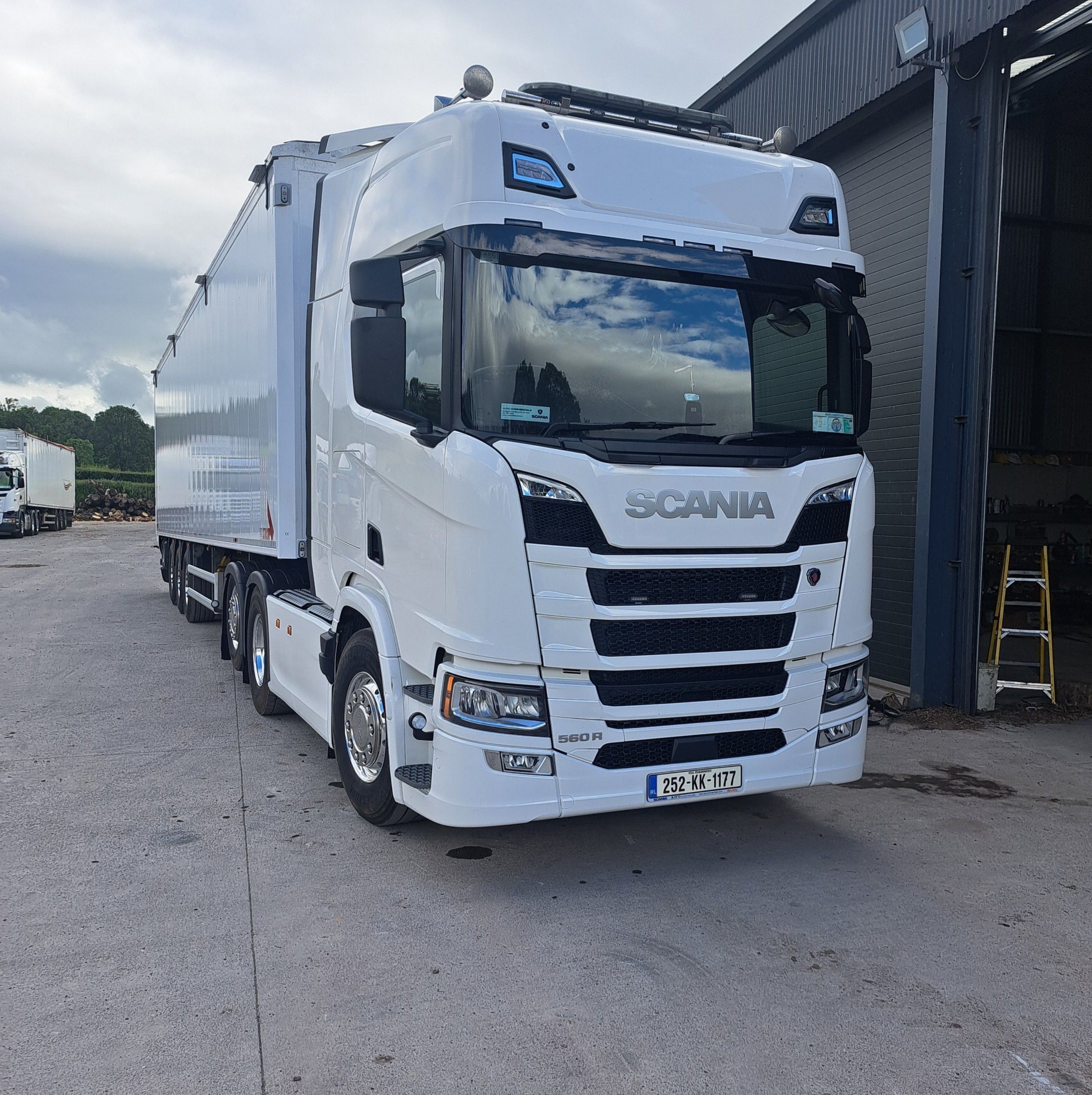 Scania, rits,taures. | Janis Beriņš