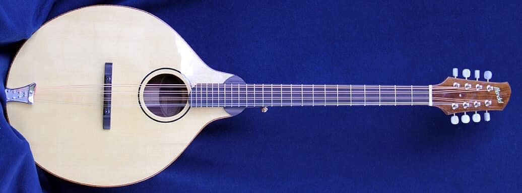 Bradford & Company Fine Instruments - We have two gorgeous Octave ...