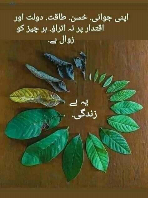 Hashmi collocation