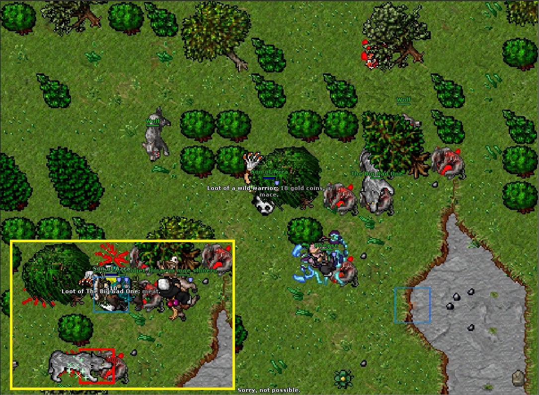Tibia Noob - No Todos son Bosses .... Tambien son Muertes...