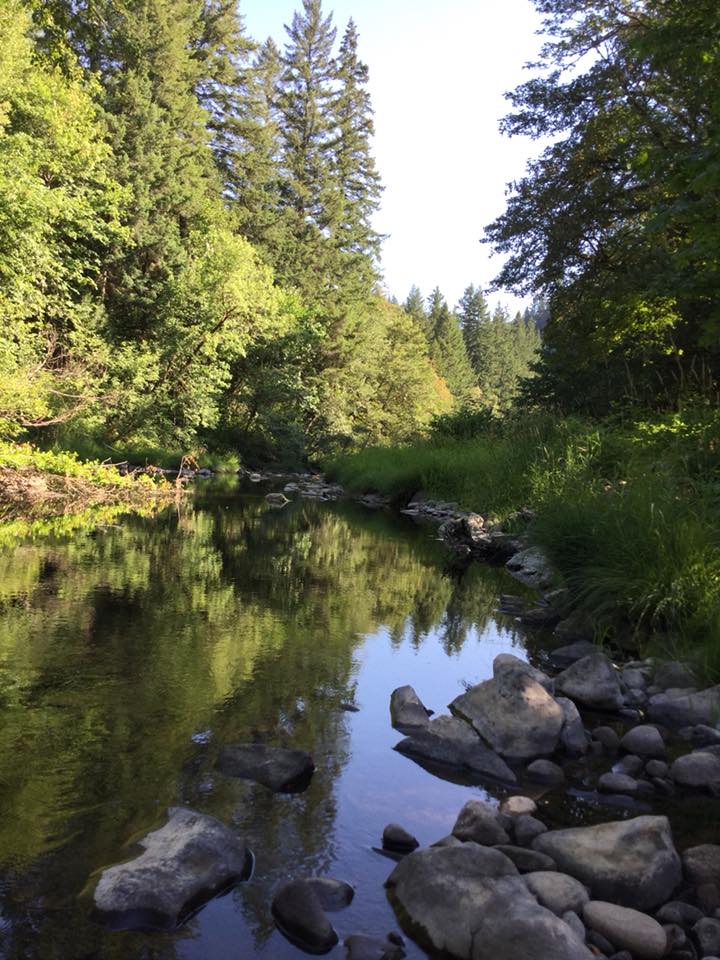 This week we welcome... - Remote Outpost Rv Park and Cabins | Facebook
