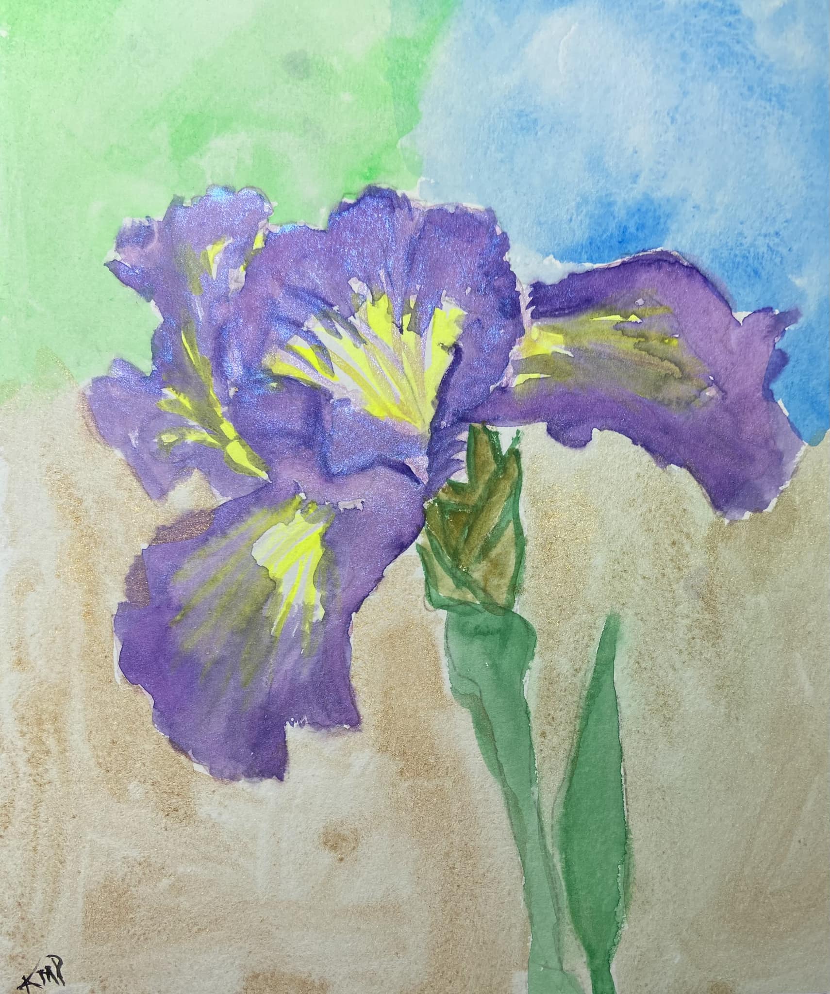 Iris painting in watercolor and gouache