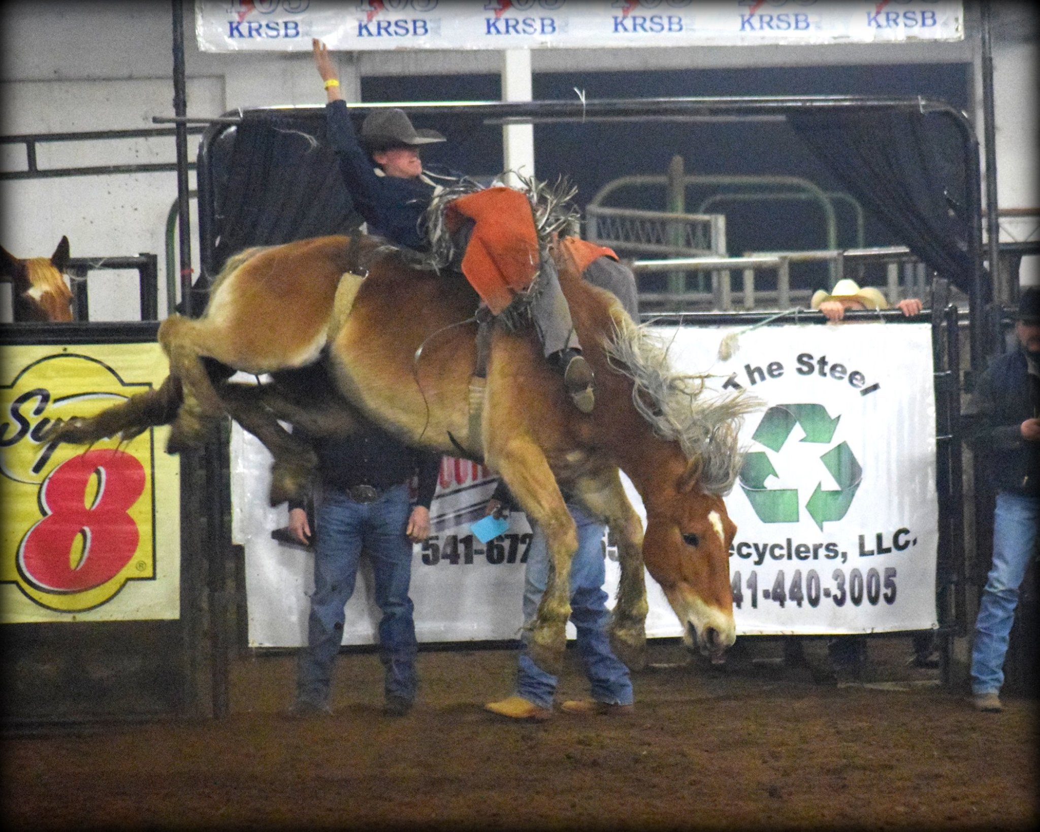 Gold Buckle Rodeo Company