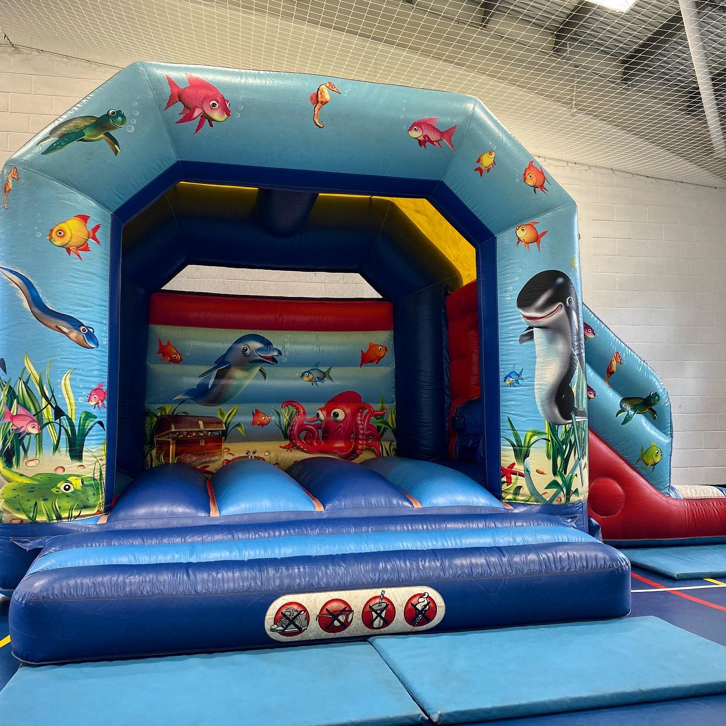 Mane Events - 🐠🐡🐙Our ‘Under The Sea’ bouncy castle is a...