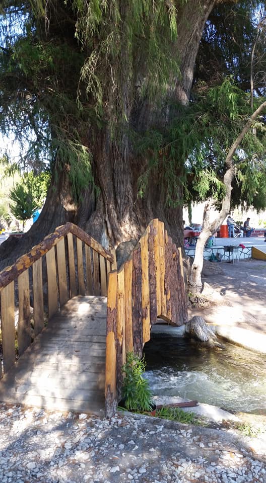 Balneario los Ahuehuetes