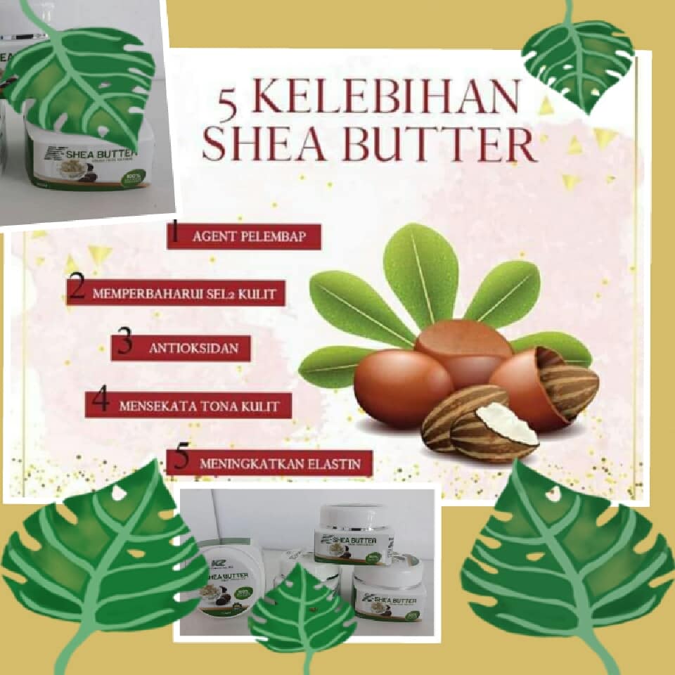 Kelebihan K Shea Butter Kzact Produk Bumiputra Melayu Facebook