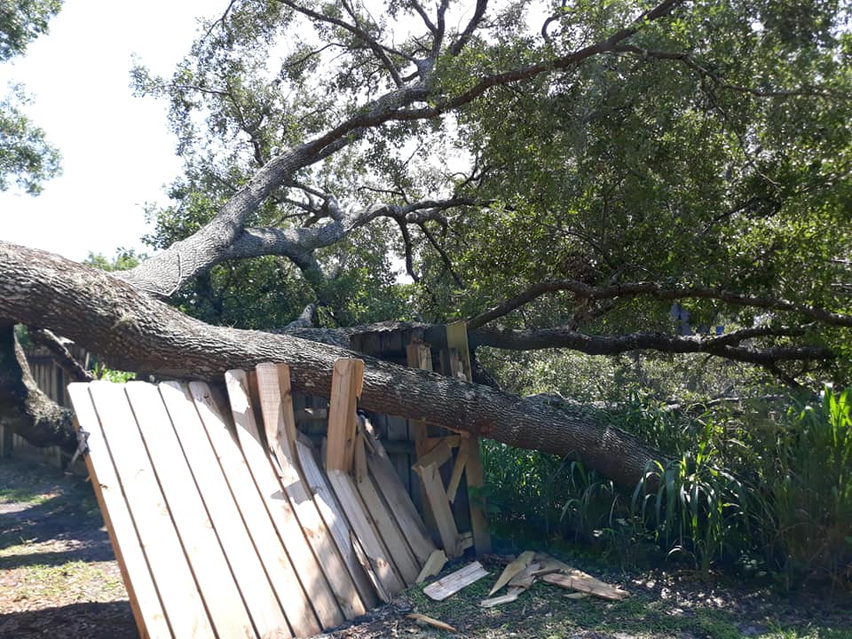 A Fast Response Tree Service, Inc. | Palm Bay FL