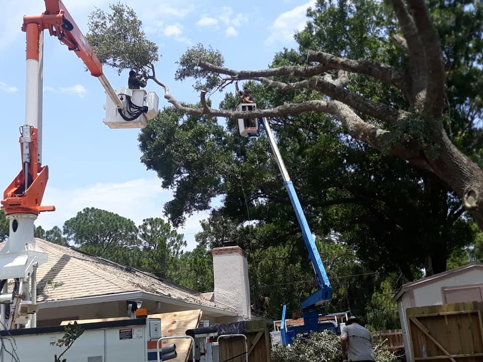 A Fast Response Tree Service, Inc. | Palm Bay FL