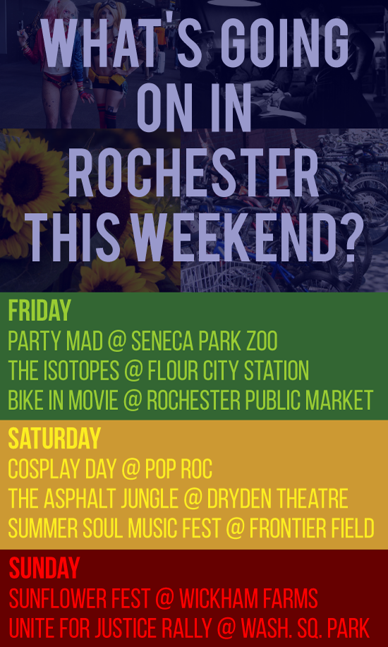 POP ROC | Rochester NY