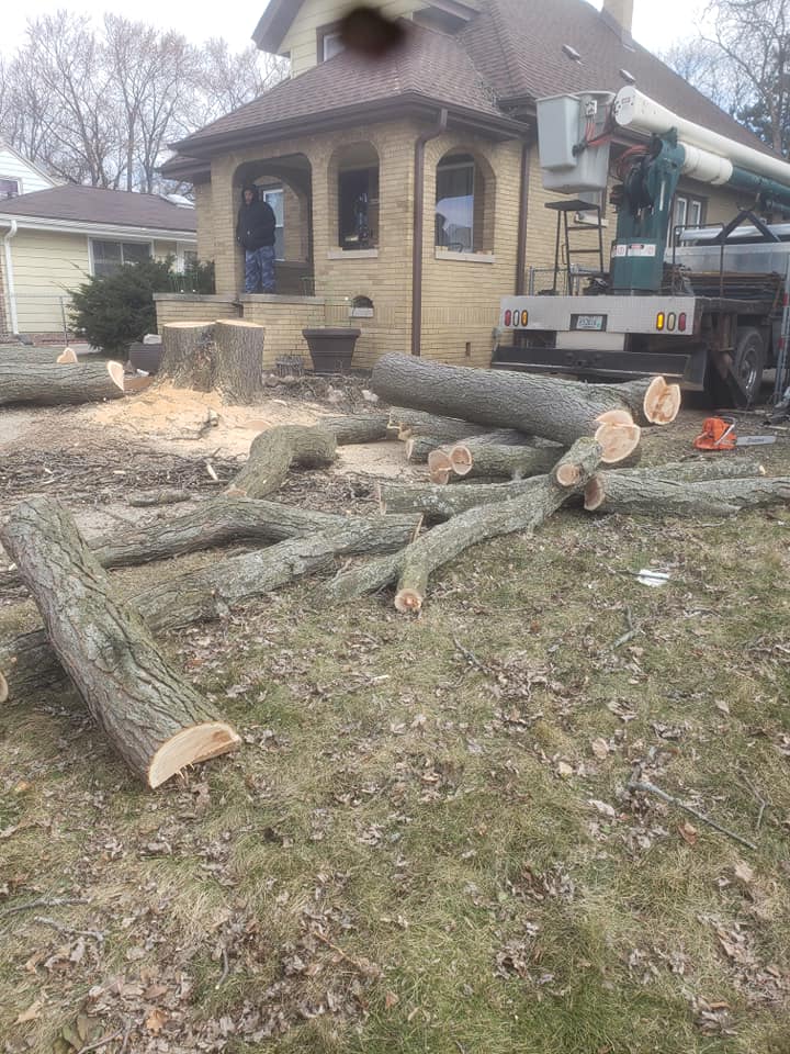 C M Tree Services LLC