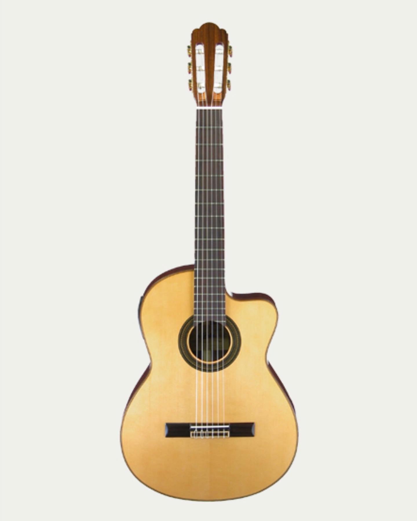 A-60CWE from aria pro II @ariaguitars Available 