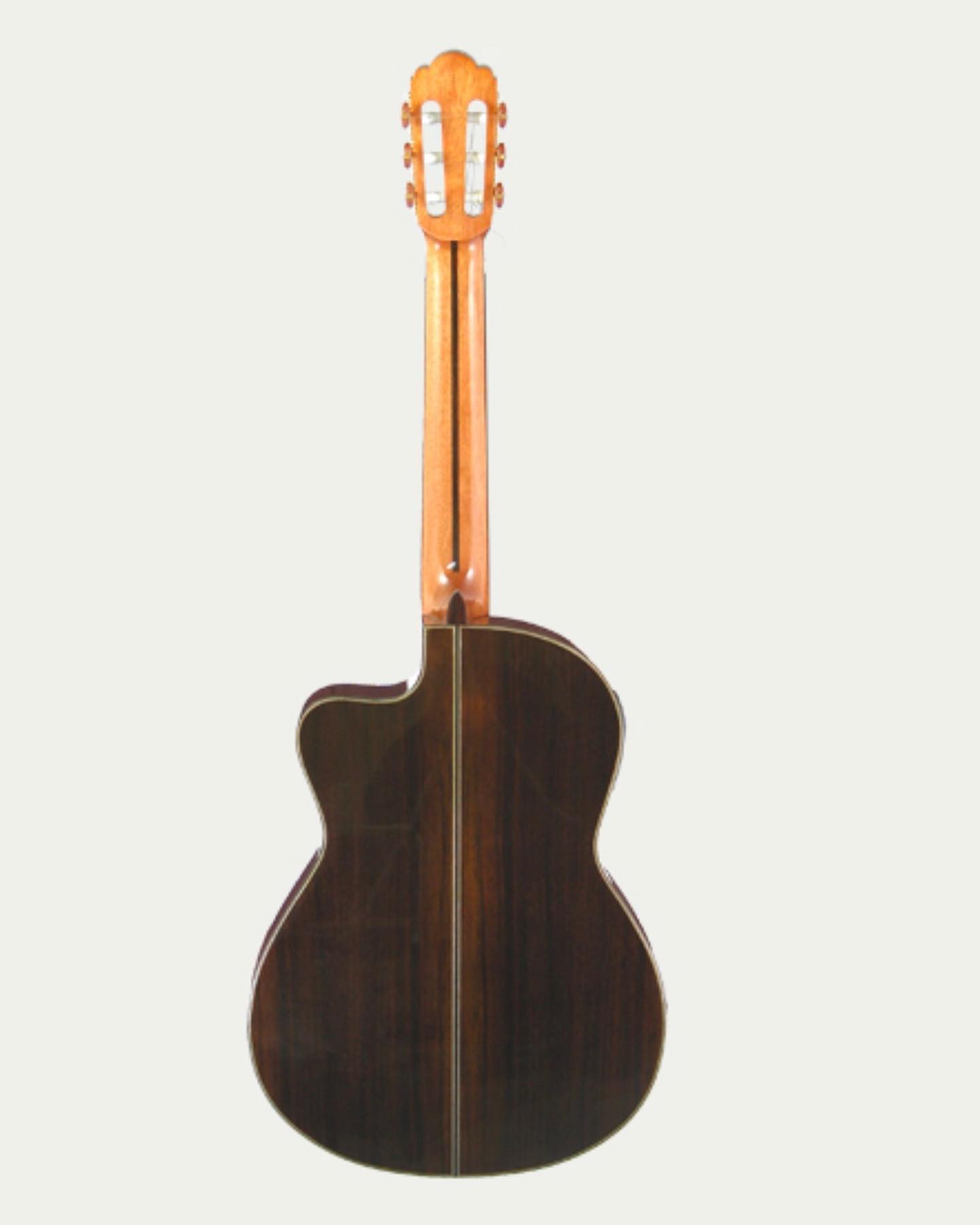 A-60CWE from aria pro II @ariaguitars Available 