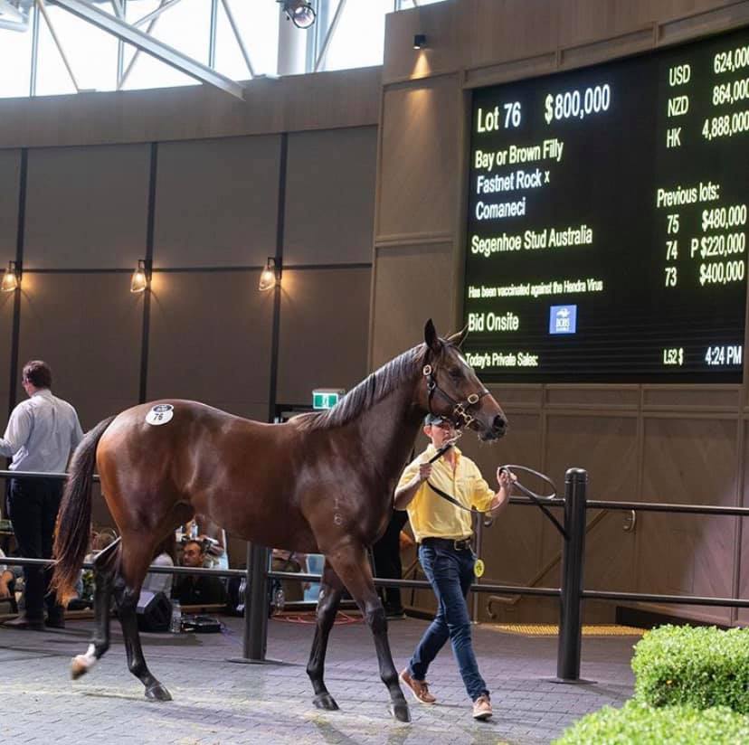 Snowden Racing - Before ️ After... She was a great type... | Facebook