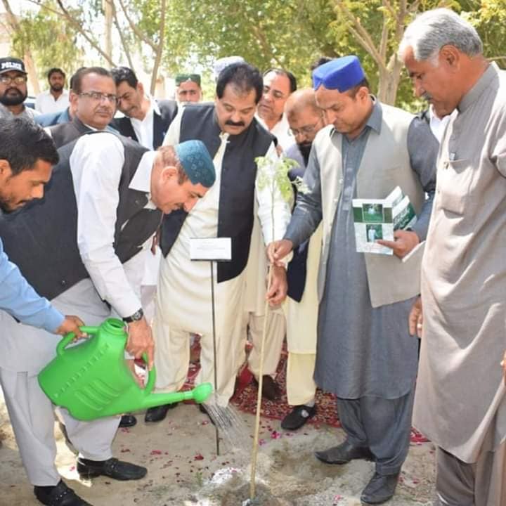 Moringa... - Mission Enhancing Green Belt, MEG-B میگ-بی | Facebook