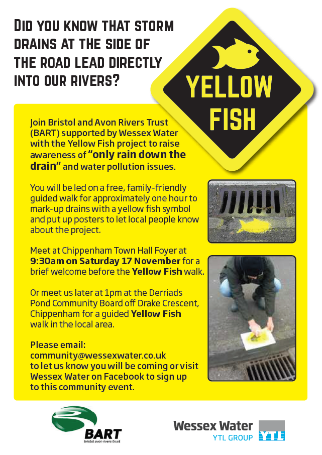 Wessex - The Yellow Fish project is back! 🐠 This time taking place in ...