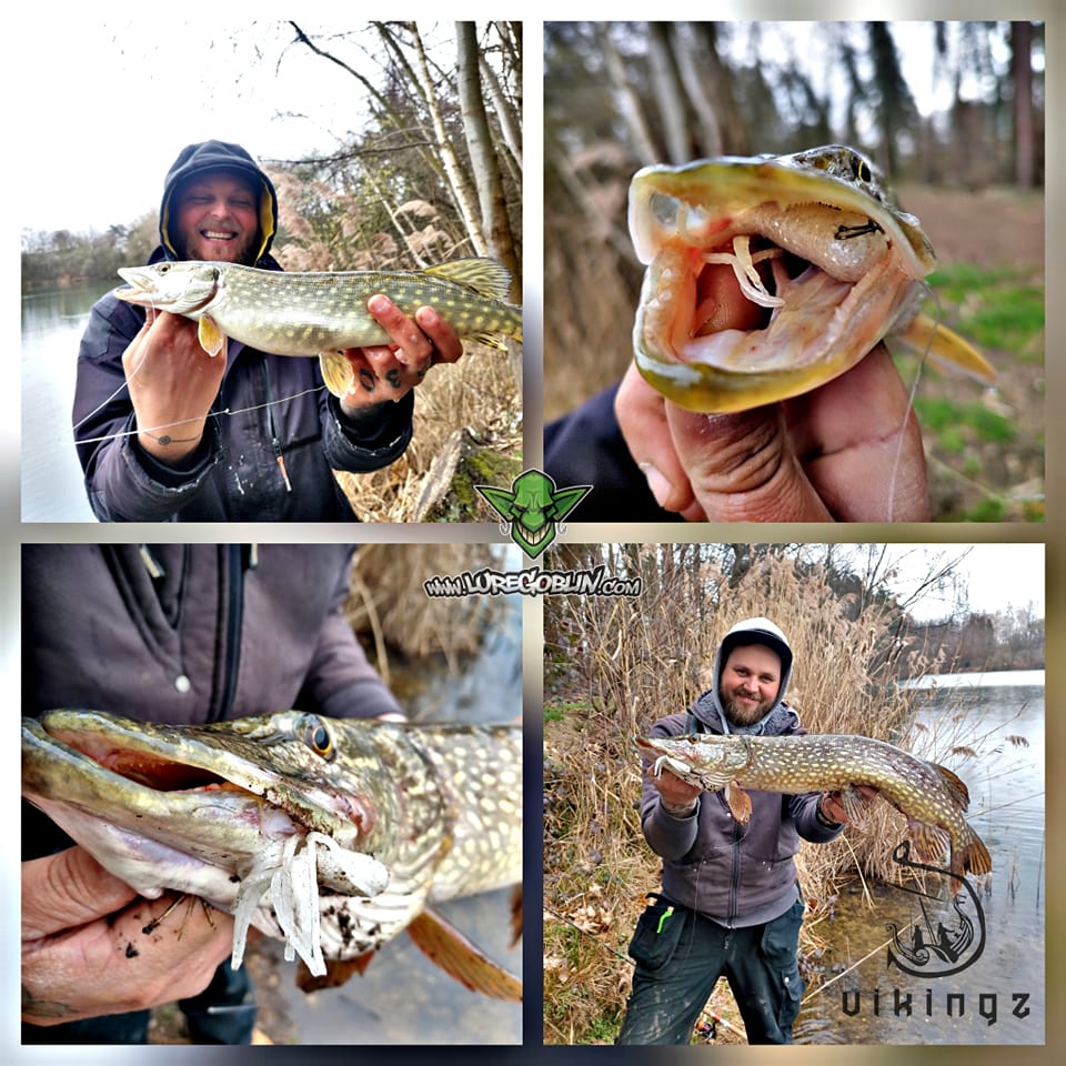 Vikingz Fishing - Snoek proof met de tube 🤔jawel hoor... | Facebook