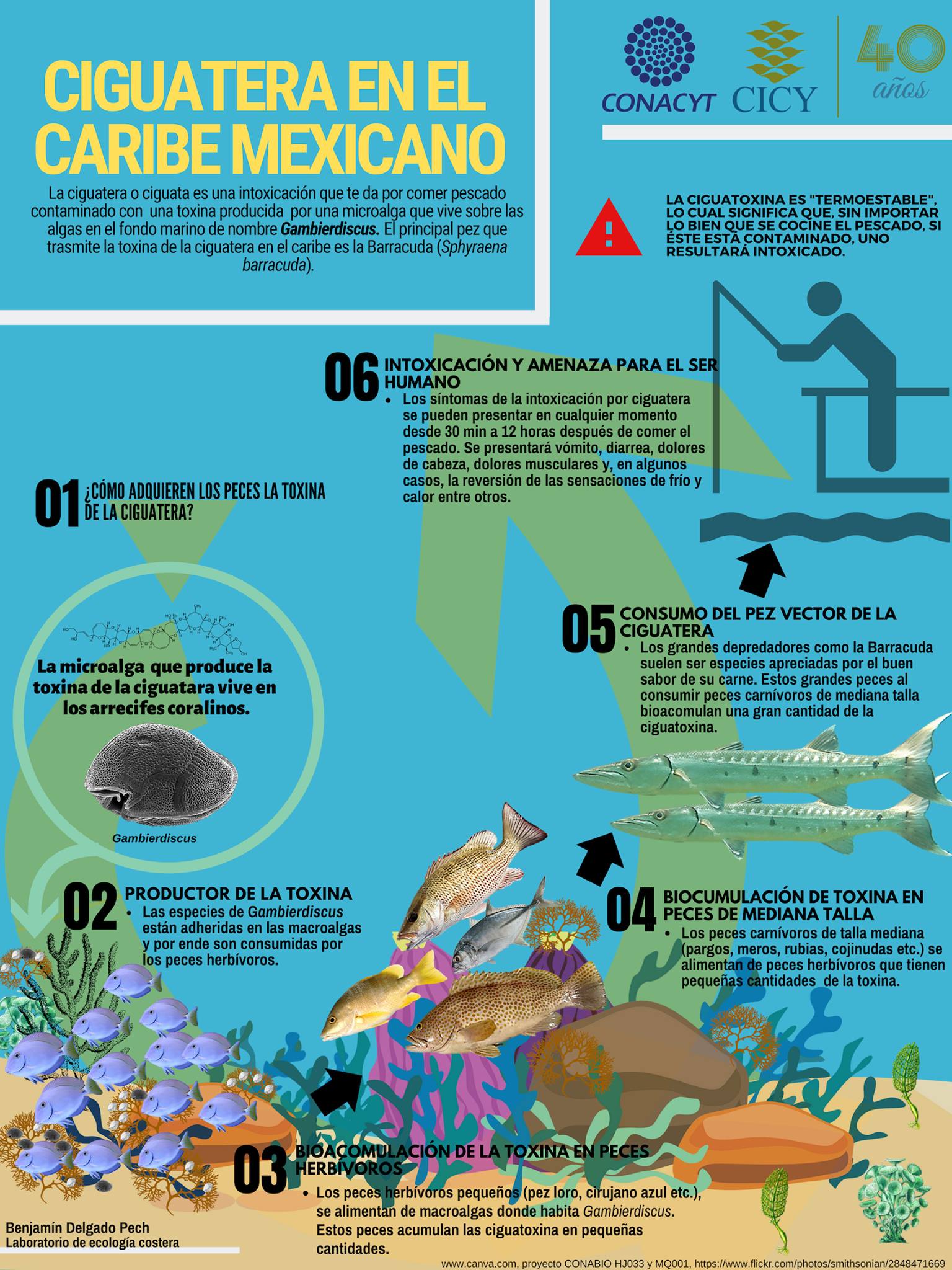 ¿Sab... - CICY - Centro de Investigación Científica de Yucatán