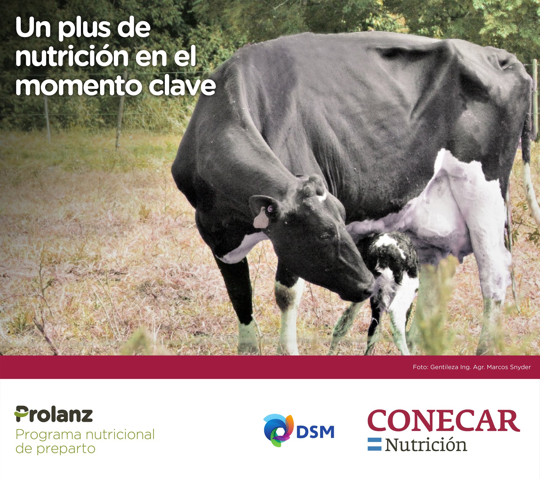 📍 Un parto exitoso y una lactancia... - Conecar Nutrición | Facebook