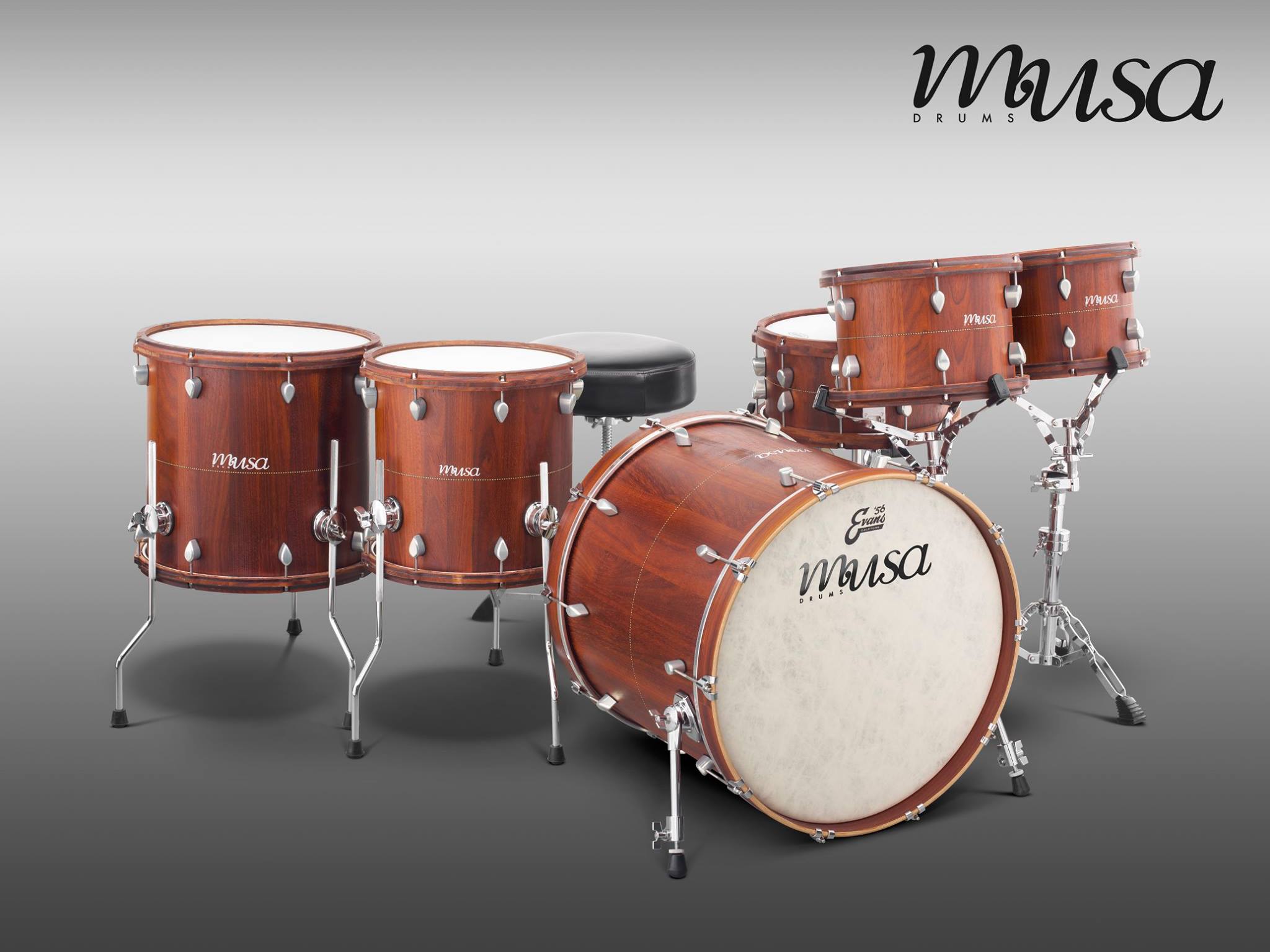 Musa drums | Modena