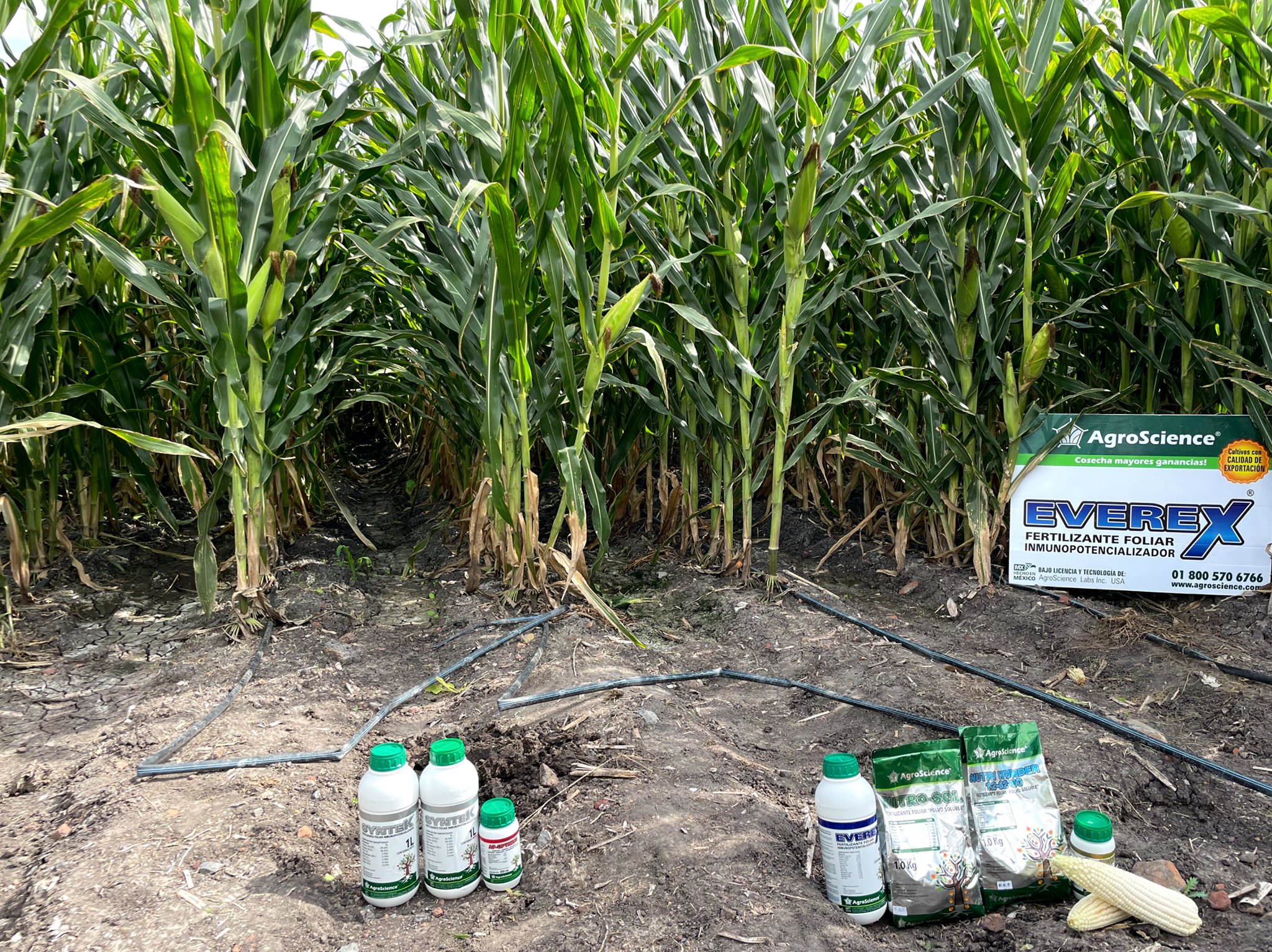 AgroScience - Conoce nuestros paquetes nutricionales para... | Facebook