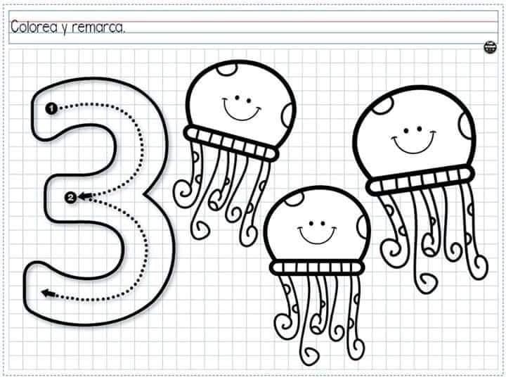 Bio-EducArte - Números Créditos en las imágenes