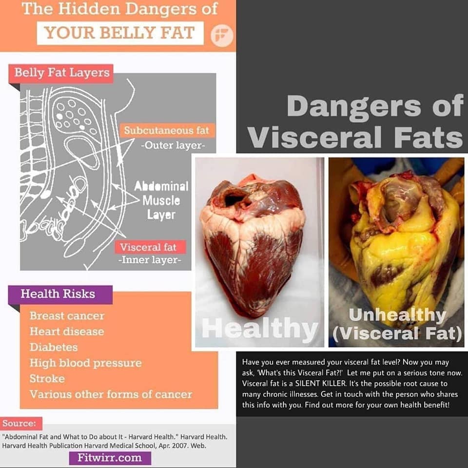 #DN || Tahukah anda Visceral Fat atau... - DN Adnin official