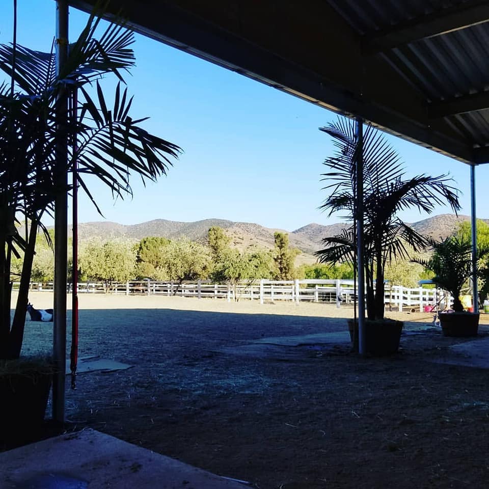 Three Bay Mares Ranch