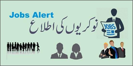 TalentTrack PK - 🚨 POLIO FREE PAKISTAN JOBS 2026 — 621+... | Facebook